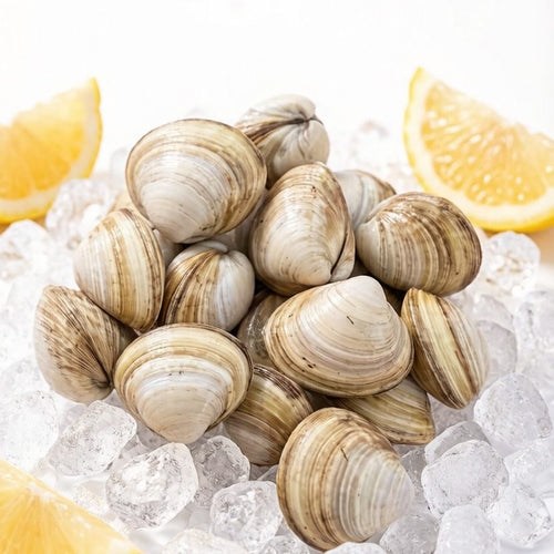 Fresh Hard-Shell Clams