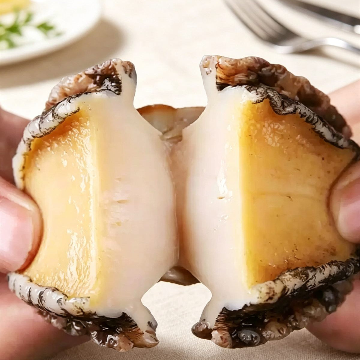 Fresh-Frozen Shell-Removed Abalone Meat