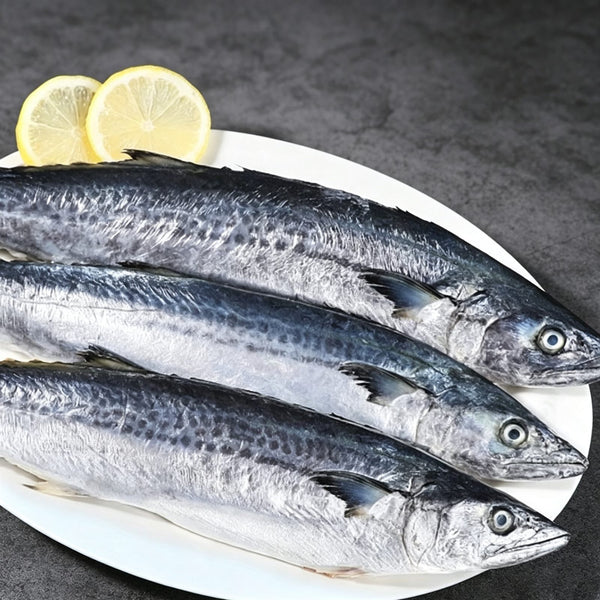 Mackerel