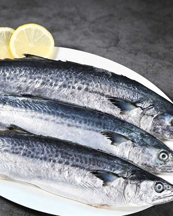 Whole Frozen Spanish Mackerel 500g