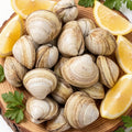 Fresh Hard-Shell Clams